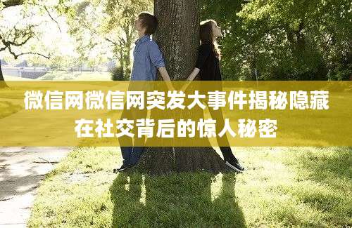 微信网微信网突发大事件揭秘隐藏在社交背后的惊人秘密
