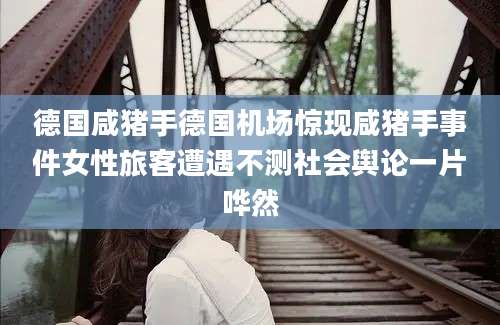 德国咸猪手德国机场惊现咸猪手事件女性旅客遭遇不测社会舆论一片哗然