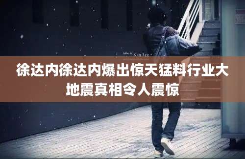 徐达内徐达内爆出惊天猛料行业大地震真相令人震惊