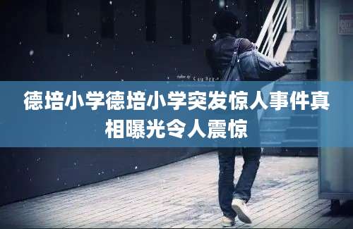 德培小学德培小学突发惊人事件真相曝光令人震惊