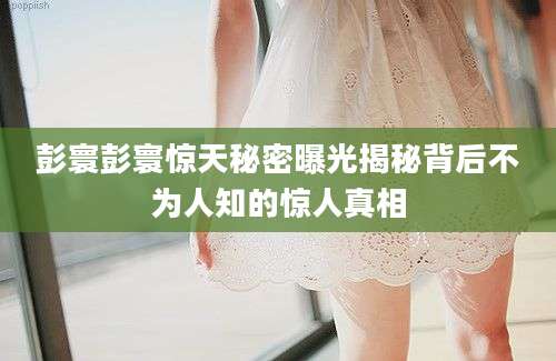 彭寰彭寰惊天秘密曝光揭秘背后不为人知的惊人真相