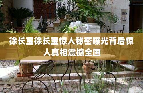 徐长宝徐长宝惊人秘密曝光背后惊人真相震撼全国