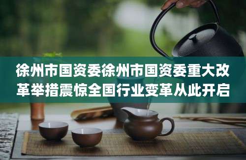 徐州市国资委徐州市国资委重大改革举措震惊全国行业变革从此开启