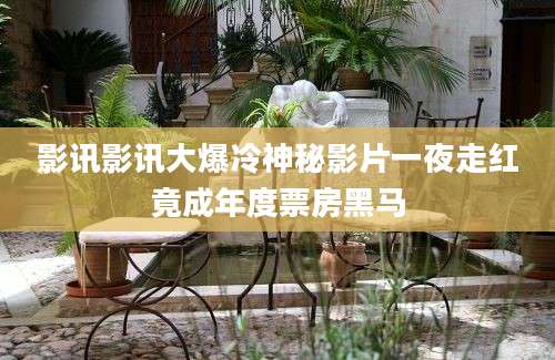 影讯影讯大爆冷神秘影片一夜走红竟成年度票房黑马