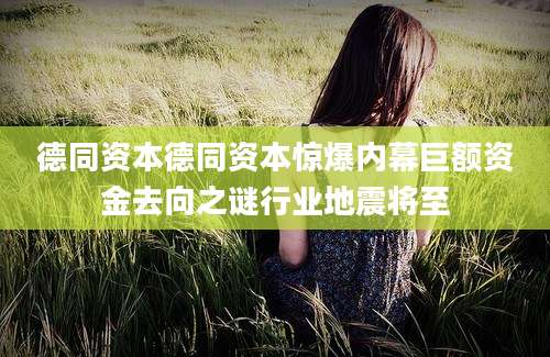 德同资本德同资本惊爆内幕巨额资金去向之谜行业地震将至