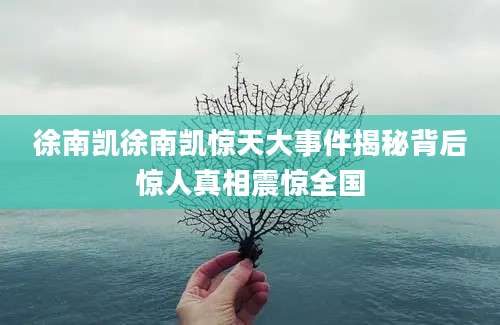 徐南凯徐南凯惊天大事件揭秘背后惊人真相震惊全国