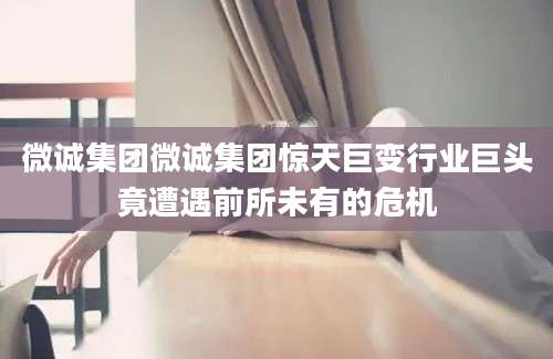 微诚集团微诚集团惊天巨变行业巨头竟遭遇前所未有的危机