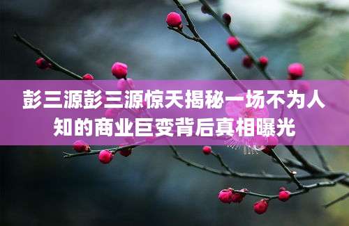 彭三源彭三源惊天揭秘一场不为人知的商业巨变背后真相曝光