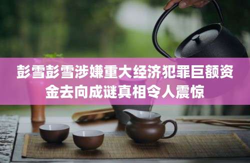 彭雪彭雪涉嫌重大经济犯罪巨额资金去向成谜真相令人震惊