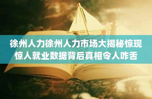 徐州人力徐州人力市场大揭秘惊现惊人就业数据背后真相令人咋舌