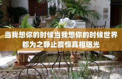 当我想你的时候当我想你的时候世界都为之静止震惊真相曝光
