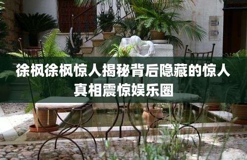 徐枫徐枫惊人揭秘背后隐藏的惊人真相震惊娱乐圈
