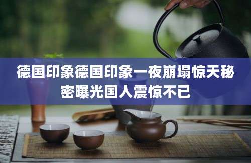 德国印象德国印象一夜崩塌惊天秘密曝光国人震惊不已