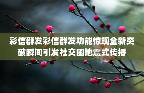 彩信群发彩信群发功能惊现全新突破瞬间引发社交圈地震式传播
