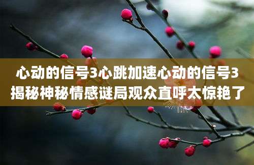 心动的信号3心跳加速心动的信号3揭秘神秘情感谜局观众直呼太惊艳了