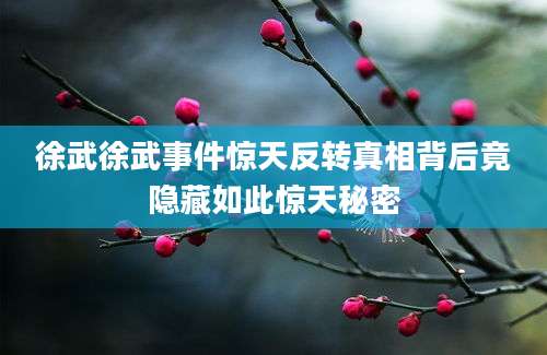 徐武徐武事件惊天反转真相背后竟隐藏如此惊天秘密