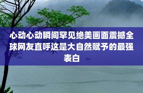 心动心动瞬间罕见绝美画面震撼全球网友直呼这是大自然赋予的最强表白