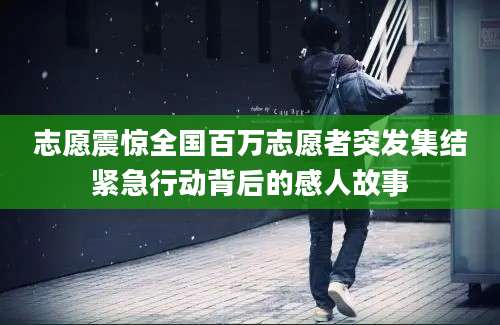 志愿震惊全国百万志愿者突发集结紧急行动背后的感人故事