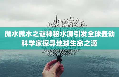 微水微水之谜神秘水源引发全球轰动科学家探寻地球生命之源