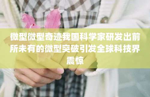 微型微型奇迹我国科学家研发出前所未有的微型突破引发全球科技界震惊
