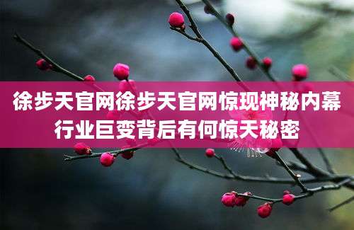 徐步天官网徐步天官网惊现神秘内幕行业巨变背后有何惊天秘密