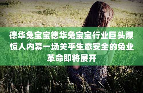 德华兔宝宝德华兔宝宝行业巨头爆惊人内幕一场关乎生态安全的兔业革命即将展开