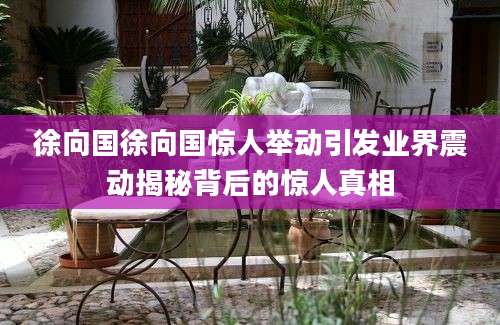 徐向国徐向国惊人举动引发业界震动揭秘背后的惊人真相