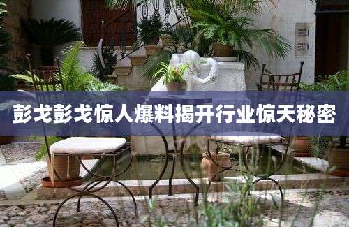 彭戈彭戈惊人爆料揭开行业惊天秘密
