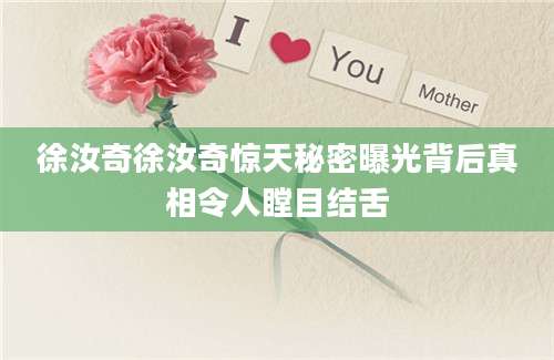 徐汝奇徐汝奇惊天秘密曝光背后真相令人瞠目结舌