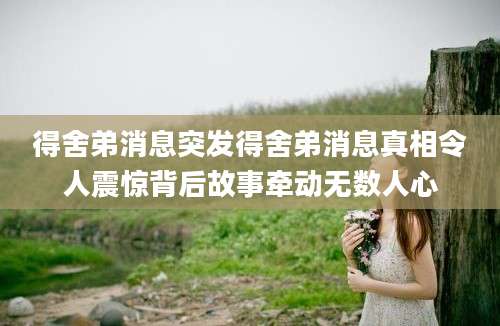 得舍弟消息突发得舍弟消息真相令人震惊背后故事牵动无数人心