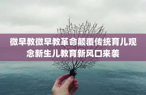 微早教微早教革命颠覆传统育儿观念新生儿教育新风口来袭