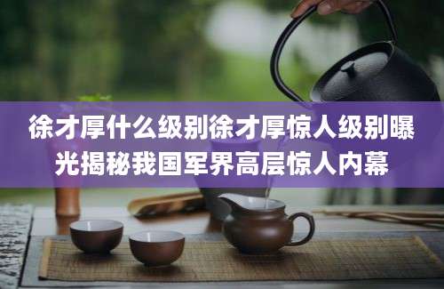 徐才厚什么级别徐才厚惊人级别曝光揭秘我国军界高层惊人内幕