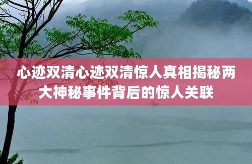 心迹双清心迹双清惊人真相揭秘两大神秘事件背后的惊人关联