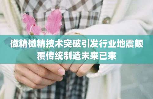 微精微精技术突破引发行业地震颠覆传统制造未来已来