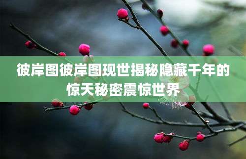 彼岸图彼岸图现世揭秘隐藏千年的惊天秘密震惊世界