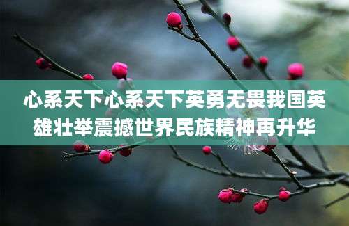 心系天下心系天下英勇无畏我国英雄壮举震撼世界民族精神再升华