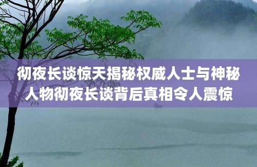 彻夜长谈惊天揭秘权威人士与神秘人物彻夜长谈背后真相令人震惊