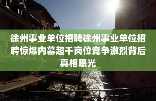 徐州事业单位招聘徐州事业单位招聘惊爆内幕超千岗位竞争激烈背后真相曝光