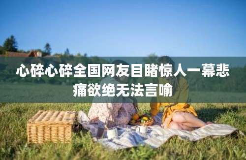 心碎心碎全国网友目睹惊人一幕悲痛欲绝无法言喻