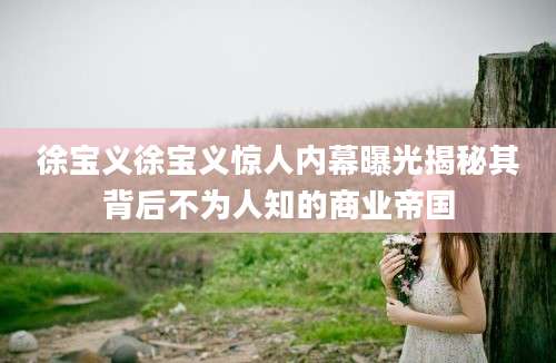 徐宝义徐宝义惊人内幕曝光揭秘其背后不为人知的商业帝国