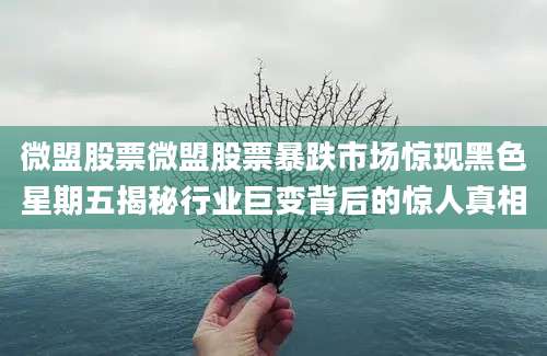 微盟股票微盟股票暴跌市场惊现黑色星期五揭秘行业巨变背后的惊人真相