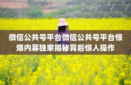 微信公共号平台微信公共号平台惊爆内幕独家揭秘背后惊人操作