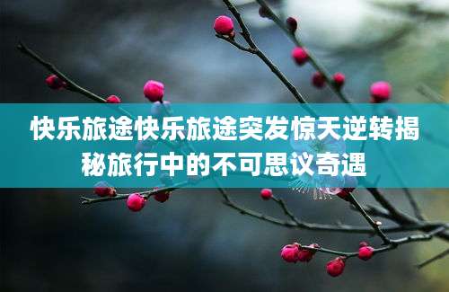快乐旅途快乐旅途突发惊天逆转揭秘旅行中的不可思议奇遇