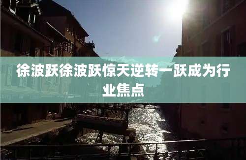 徐波跃徐波跃惊天逆转一跃成为行业焦点