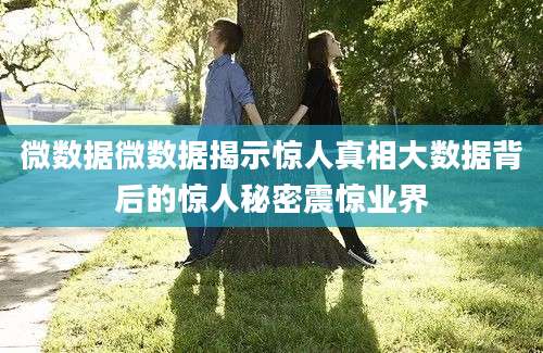微数据微数据揭示惊人真相大数据背后的惊人秘密震惊业界