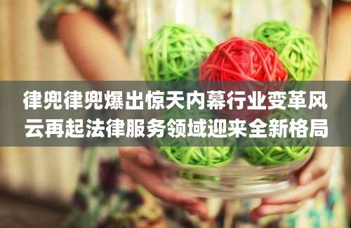 律兜律兜爆出惊天内幕行业变革风云再起法律服务领域迎来全新格局