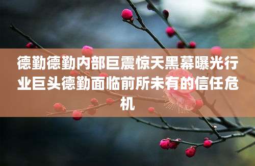 德勤德勤内部巨震惊天黑幕曝光行业巨头德勤面临前所未有的信任危机