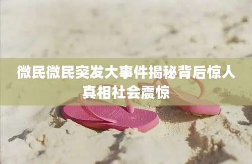 微民微民突发大事件揭秘背后惊人真相社会震惊