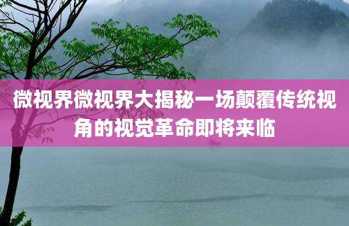 微视界微视界大揭秘一场颠覆传统视角的视觉革命即将来临