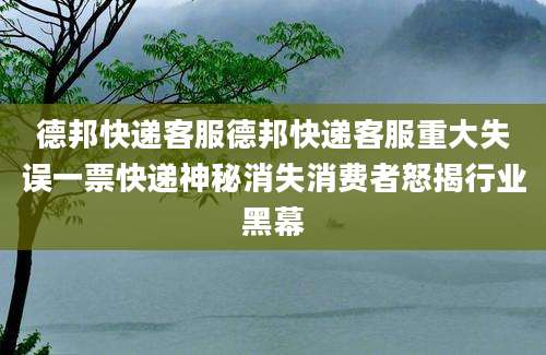 德邦快递客服德邦快递客服重大失误一票快递神秘消失消费者怒揭行业黑幕